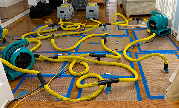 Professional Water Extraction technician working in Courtland, CA